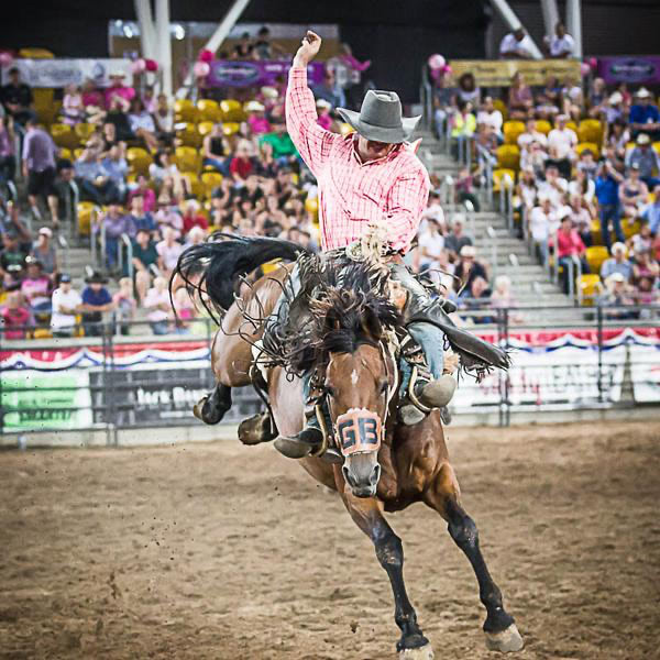 Competitions at the Berry Show 2023 - Rodeo