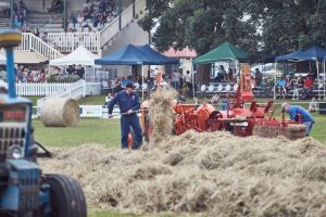 Hay making
