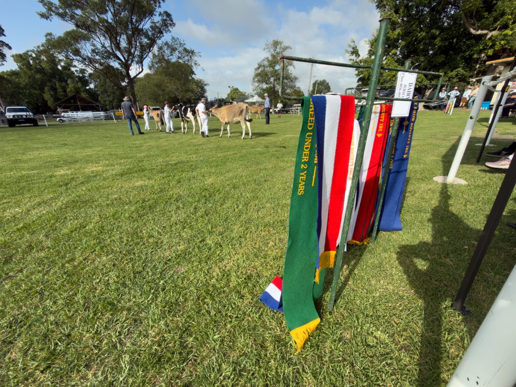 Prize ribbons hanging on a post by the cattle lawn
