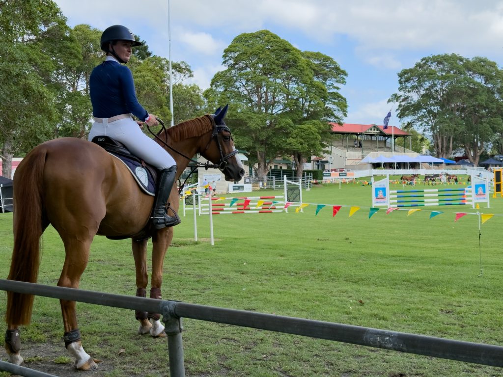 A rider on a chestnut horse beside the ring