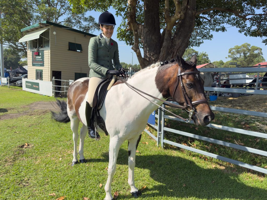 A rider on a skewbald horse beside the steward's box