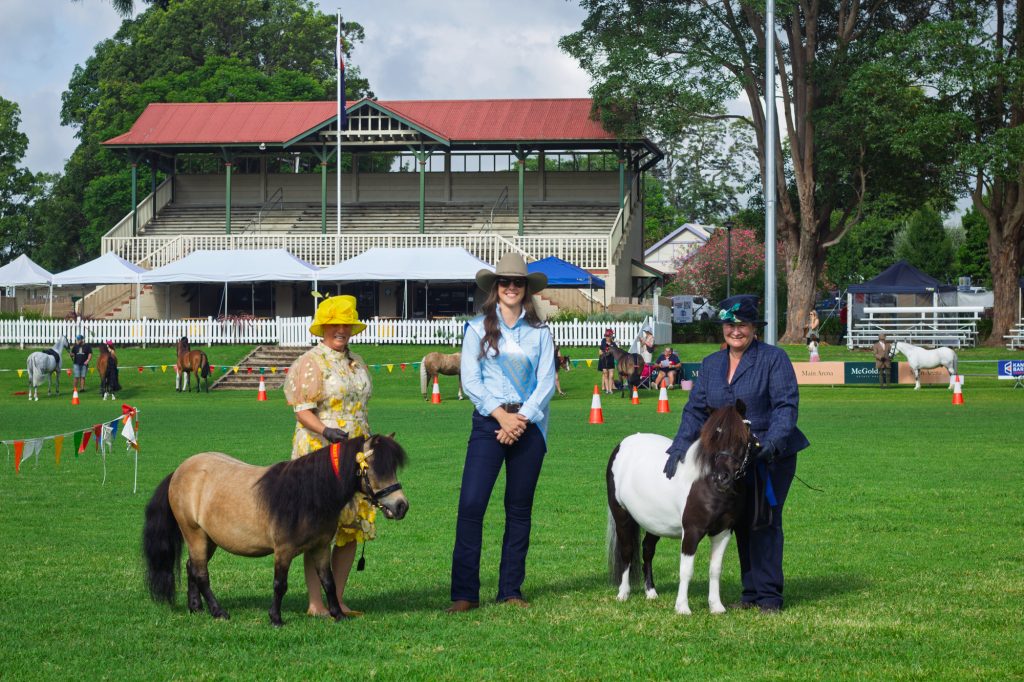Handlers leading two miniature ponies past the grandstand