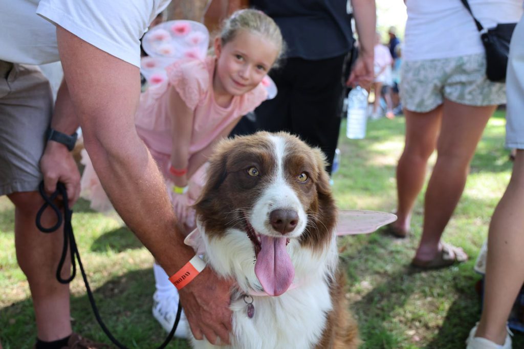 A girl and a smiling sheepdog