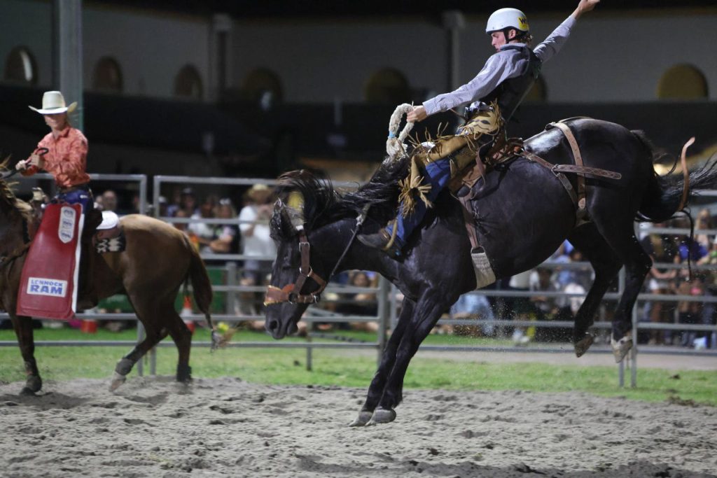 A bronc rider in mid-air under the lights at the 2026 rodeo