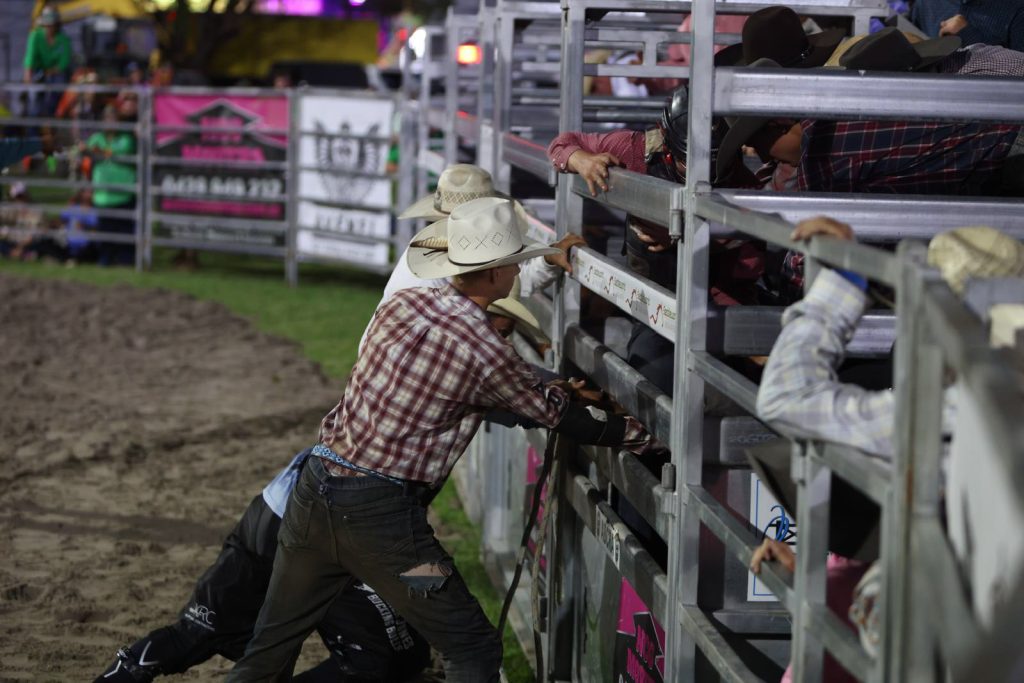 A cowboy helping at the rodeo chutes