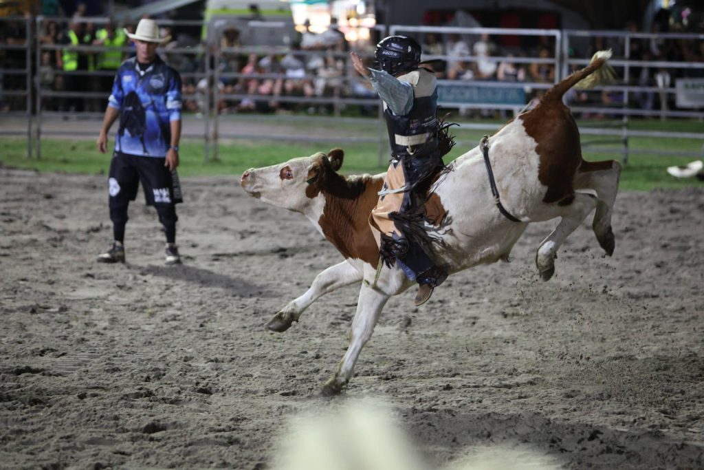 A young rider on a bucking steer