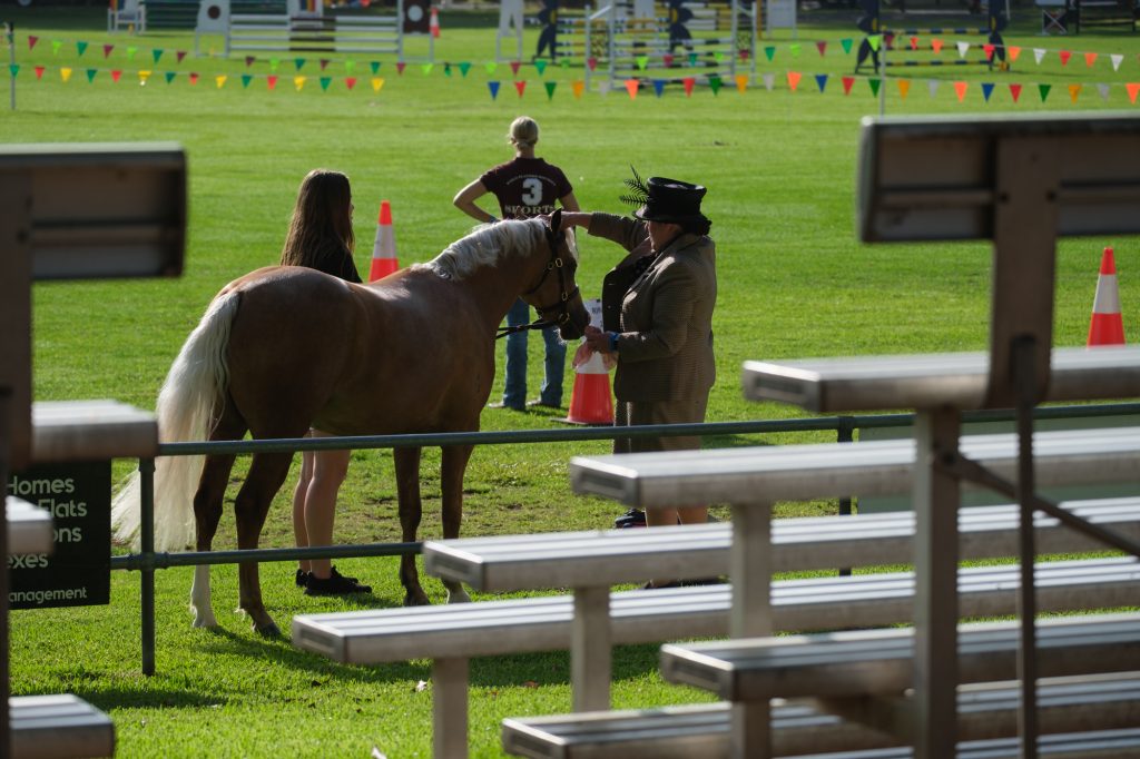 A rider leading a horse past the grandstand seats