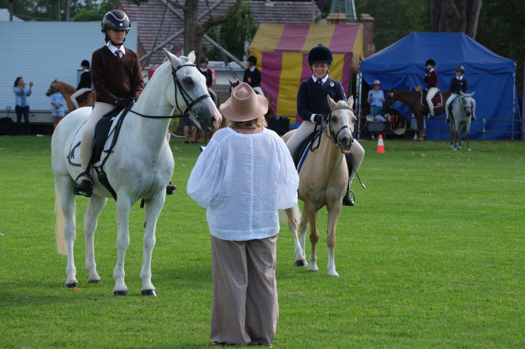 Riders on grey ponies lined up for judging