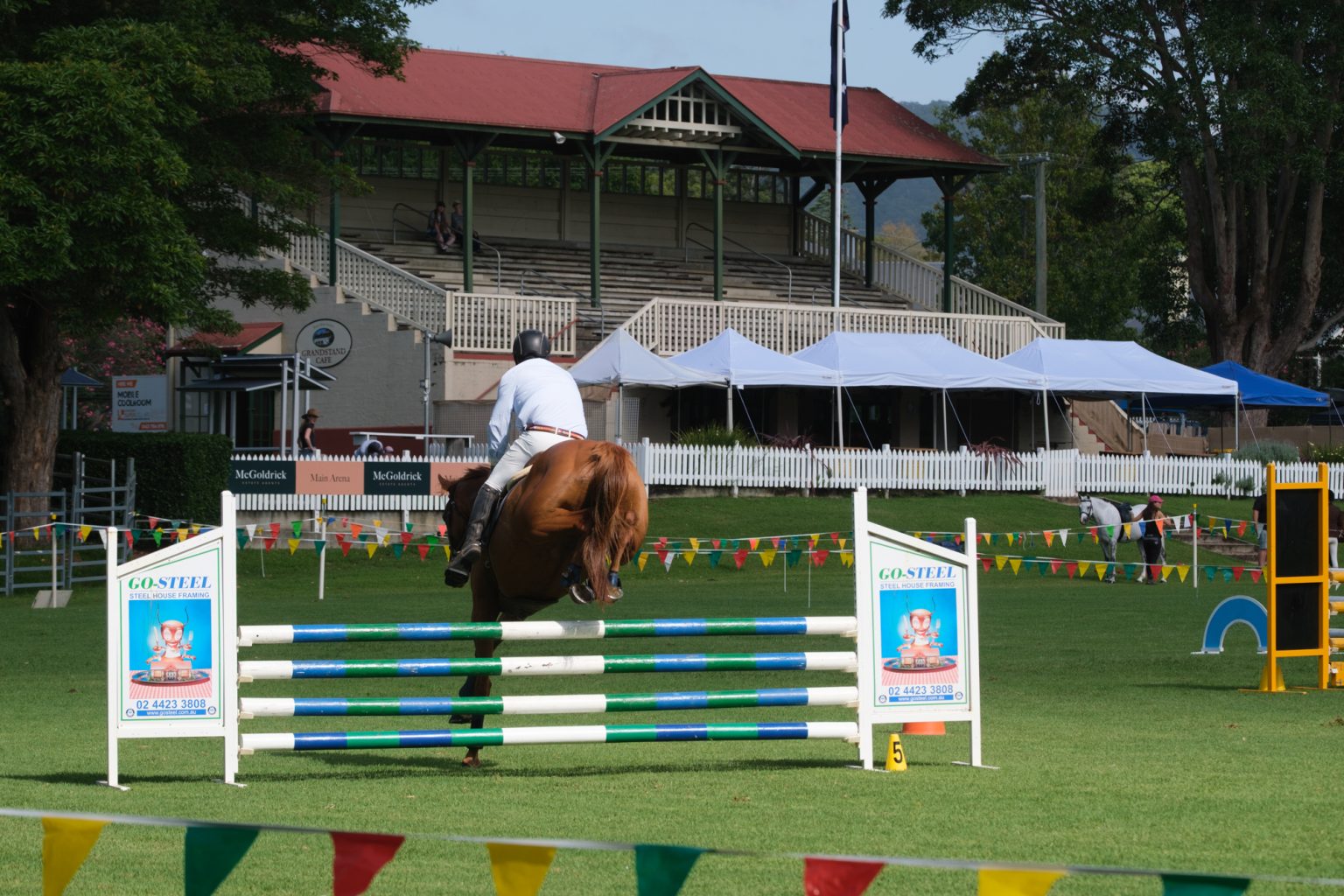 A horse clearing a showjumping fence in front of the grandstand