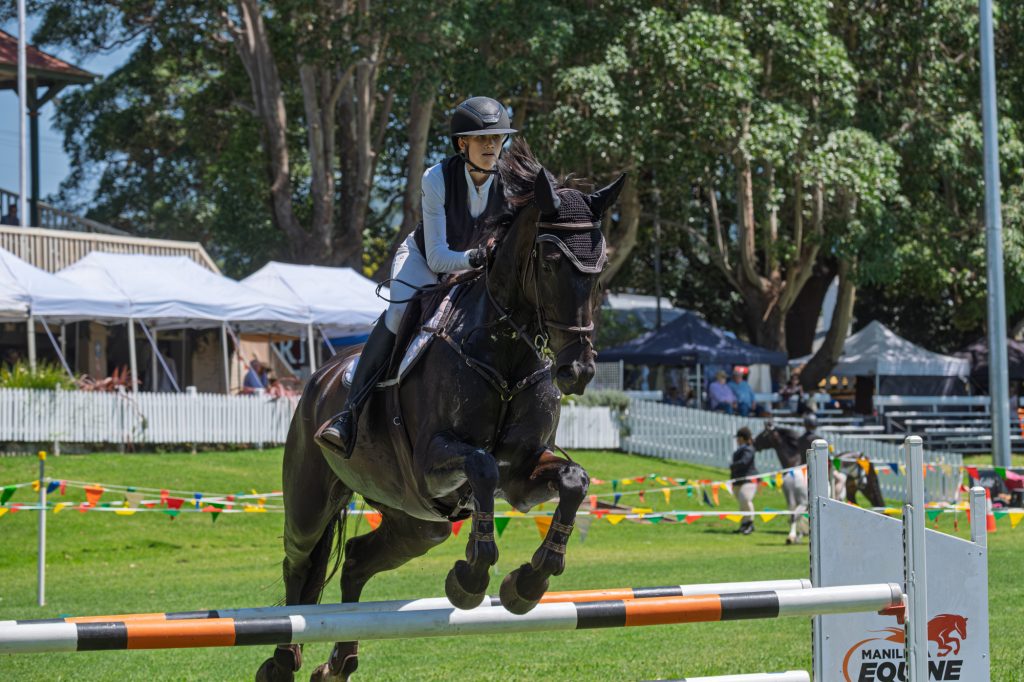 A dark horse and rider jumping a fence