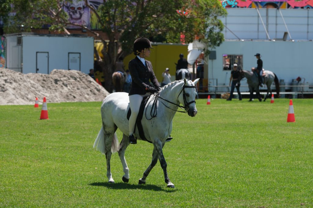A rider on a grey horse in the ring