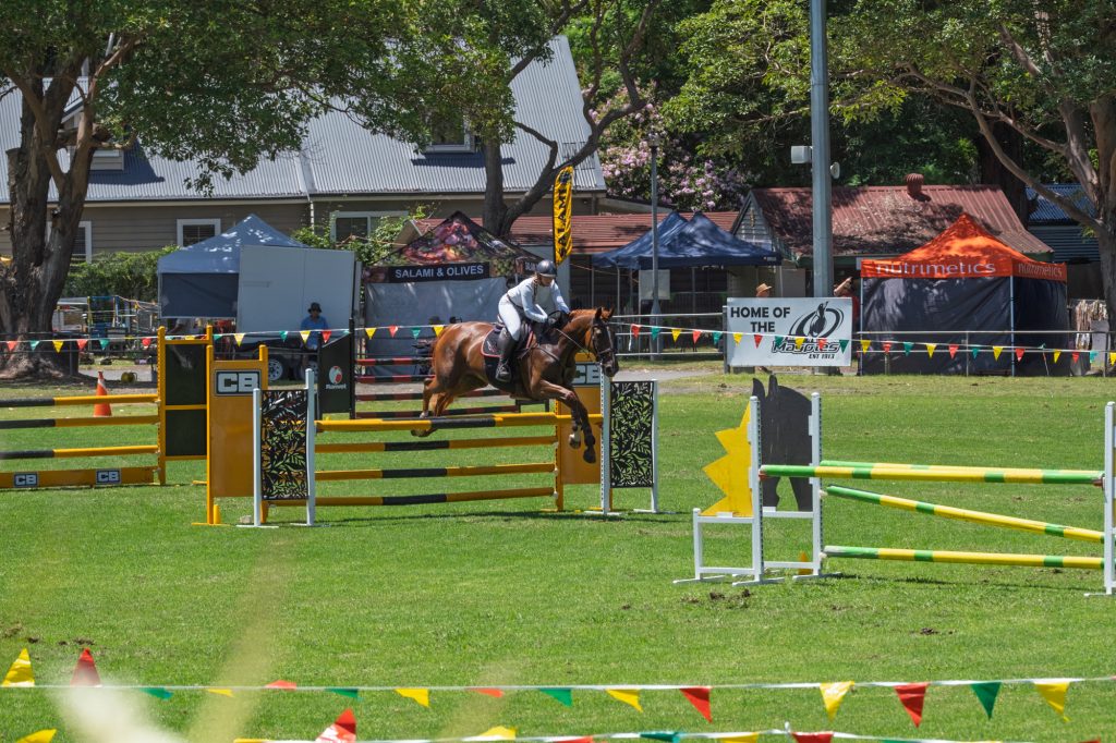 A horse clearing a fence in the showjumping ring