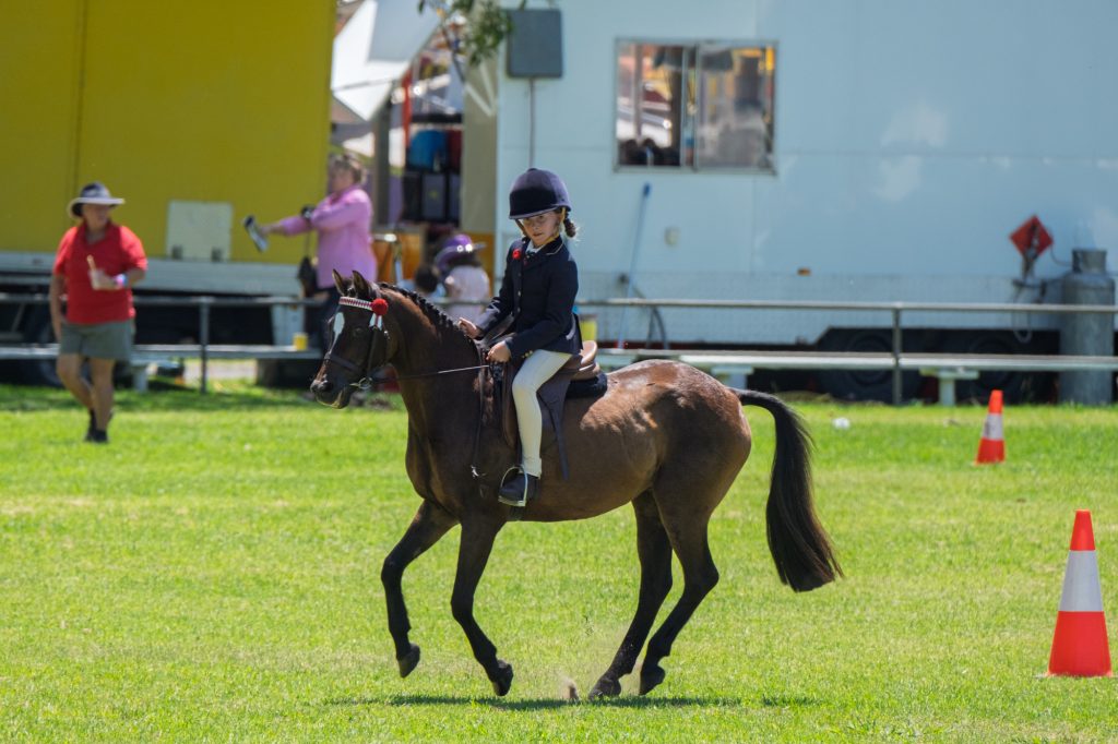 A young rider on a dark pony beside the marker cones