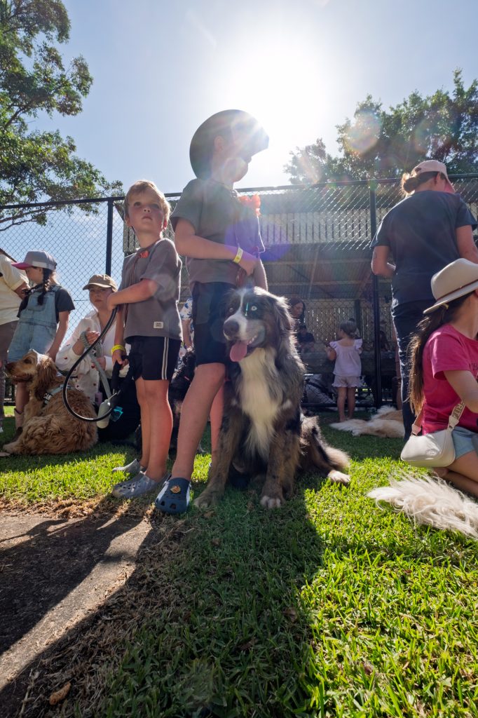 Children and their dogs gathered in the sun