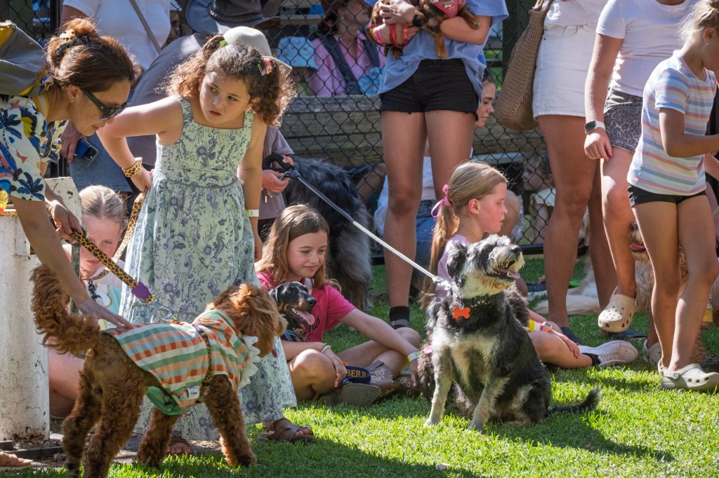 Children and dogs crowding round at the Pet Show