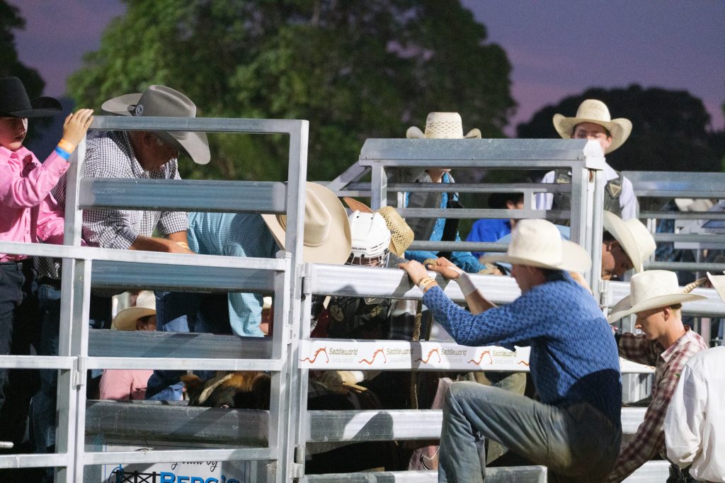 Riders and helpers on the chutes at dusk