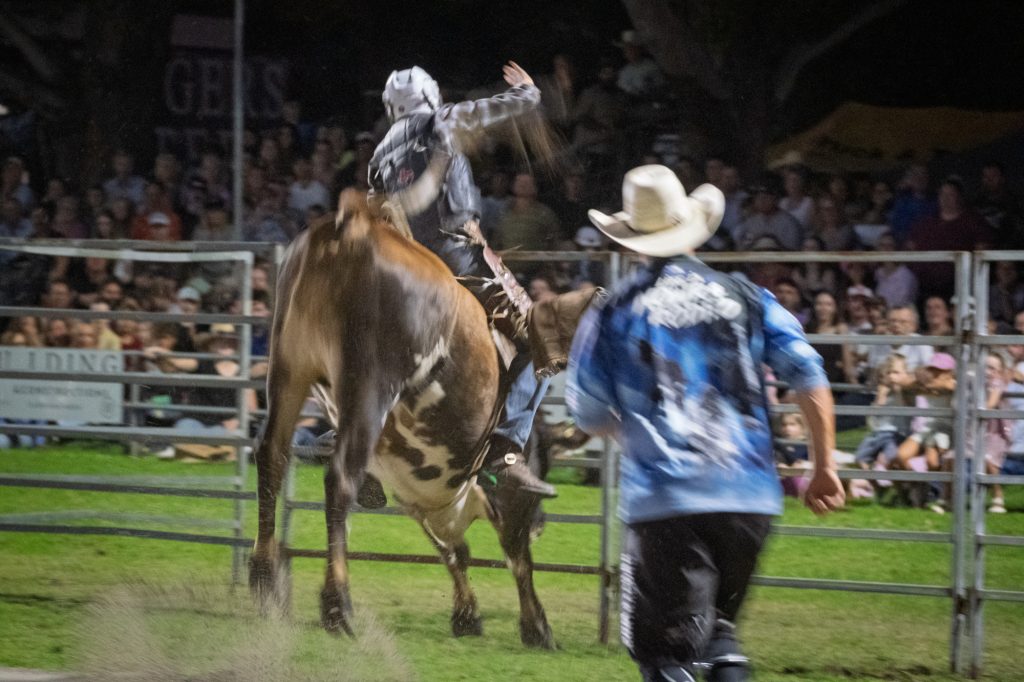 A rider being thrown from a bucking horse