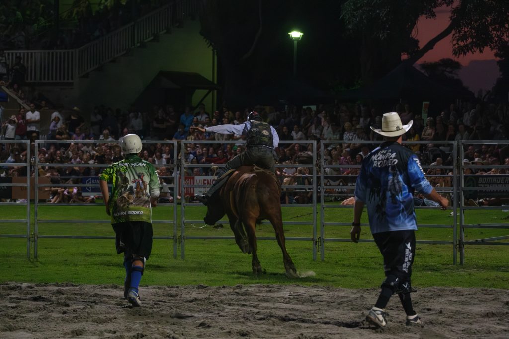 A bull bucking under the lights