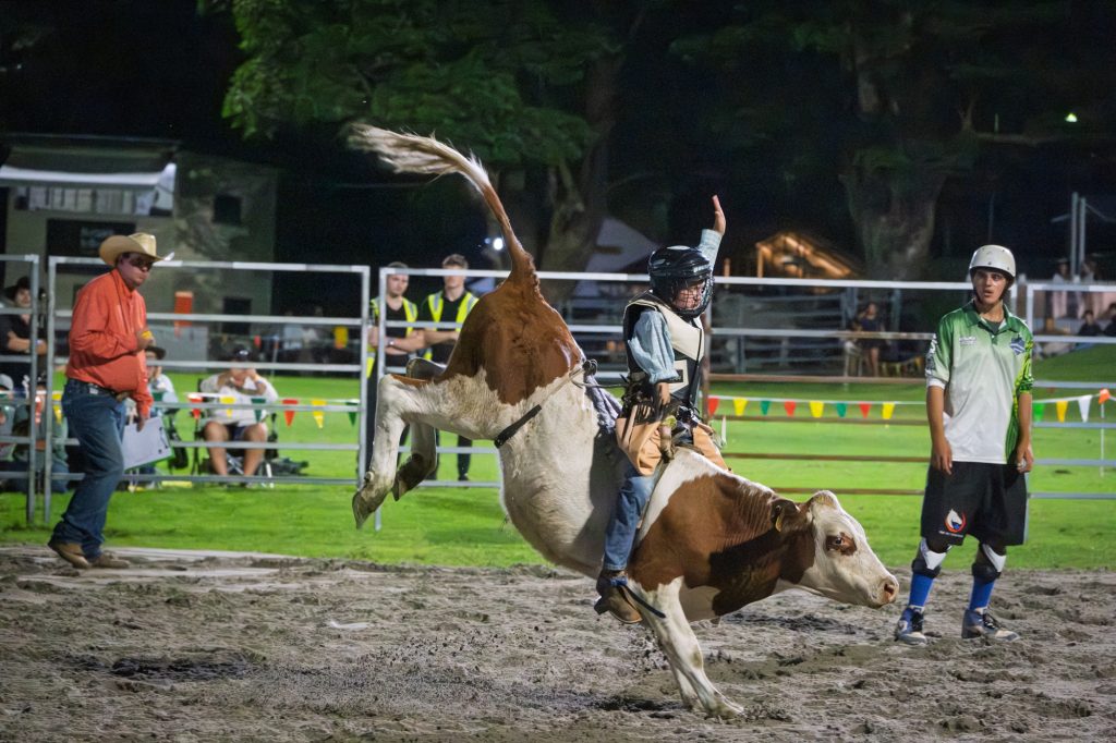 A steer kicking high with a young rider on board