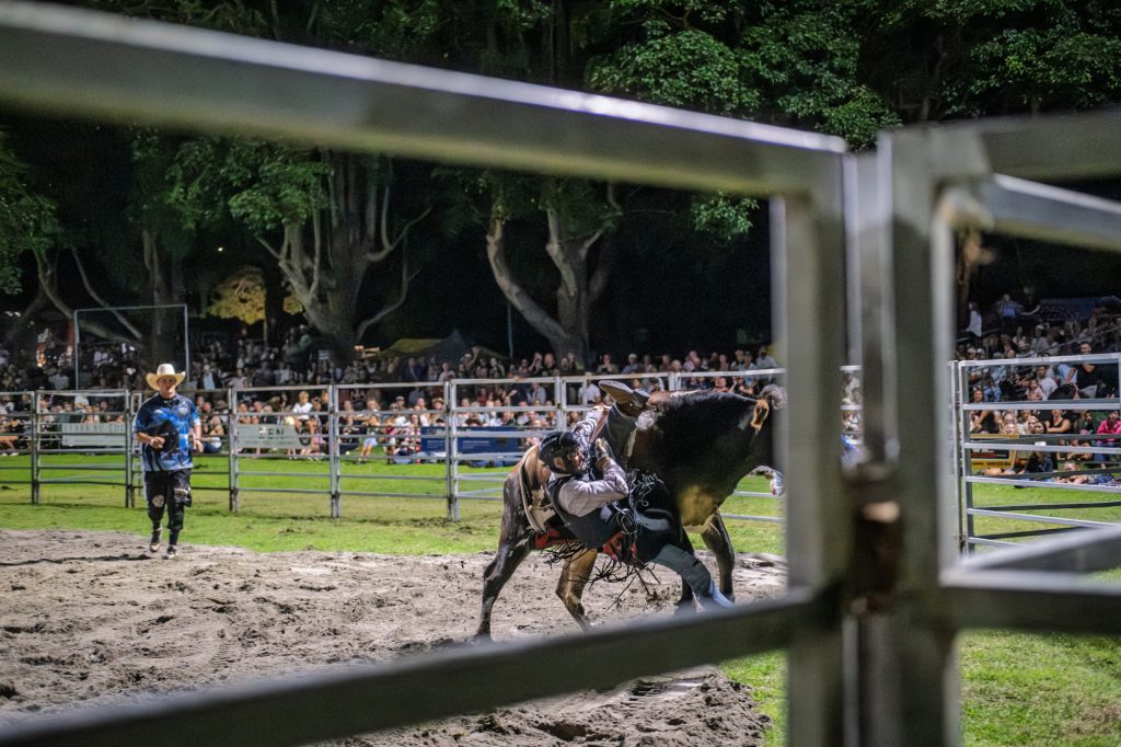 A rider and bull seen through the rails