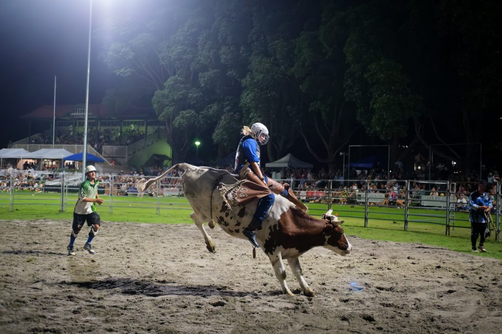 A bull rider under the floodlights
