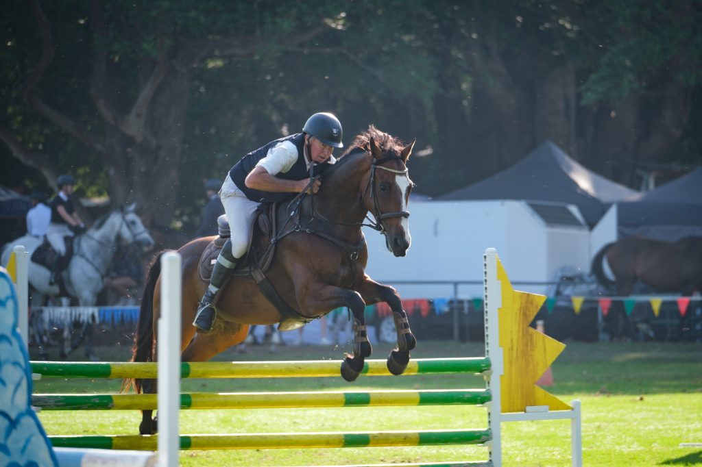 A horse jumping a yellow-striped fence