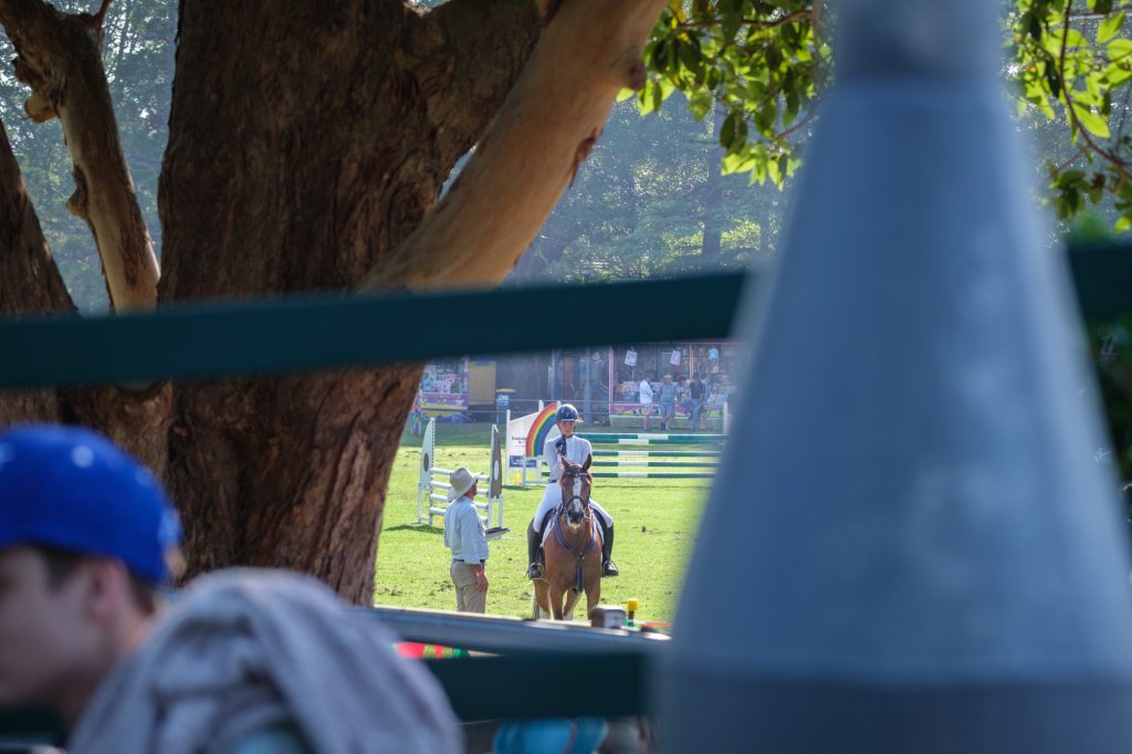 A rider in the ring, seen through the trees