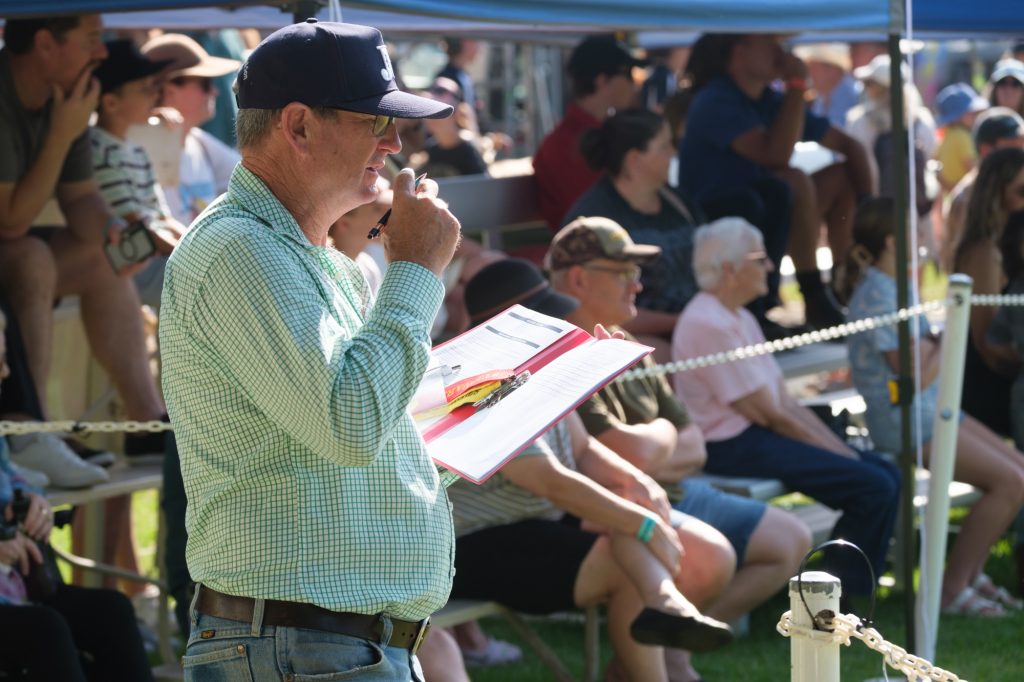 A judge reading his notes at the ringside