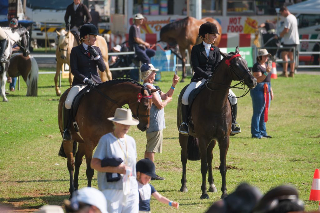 Riders and handlers gathered at the ringside