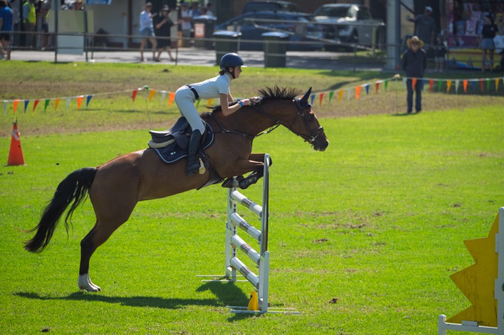 A rider and chestnut horse mid-jump