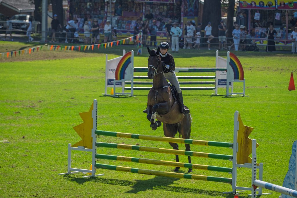 A horse coming over a jump straight at the camera