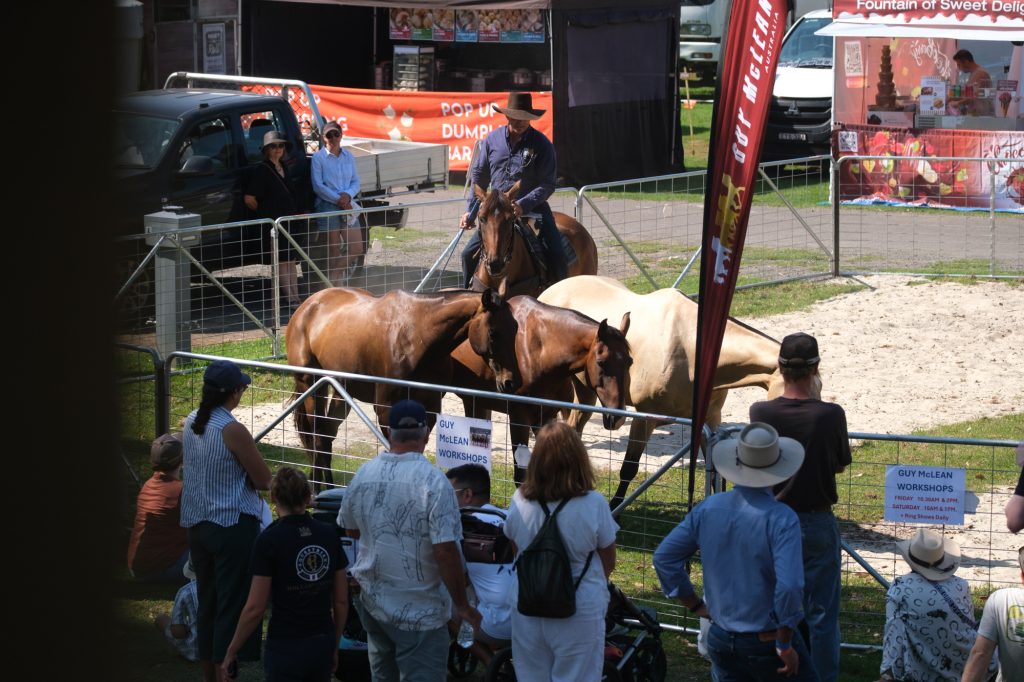 Horses and handlers around the warm-up yard
