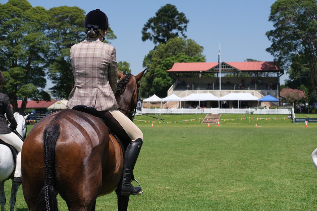 A rider in tweed watching the ring in front of the grandstand