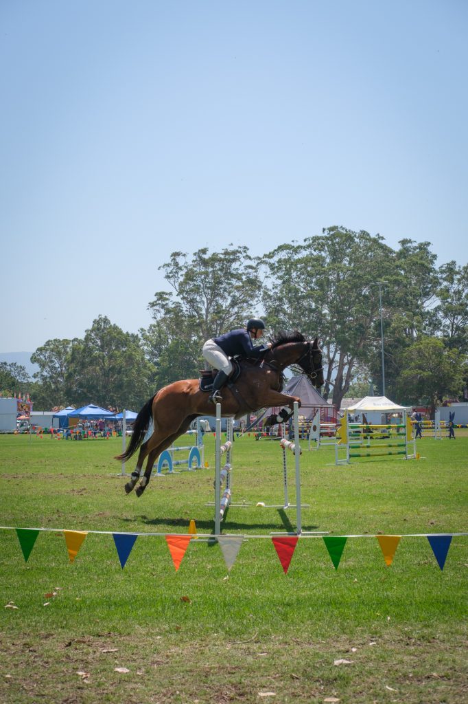 A horse clearing a fence on the showjumping course