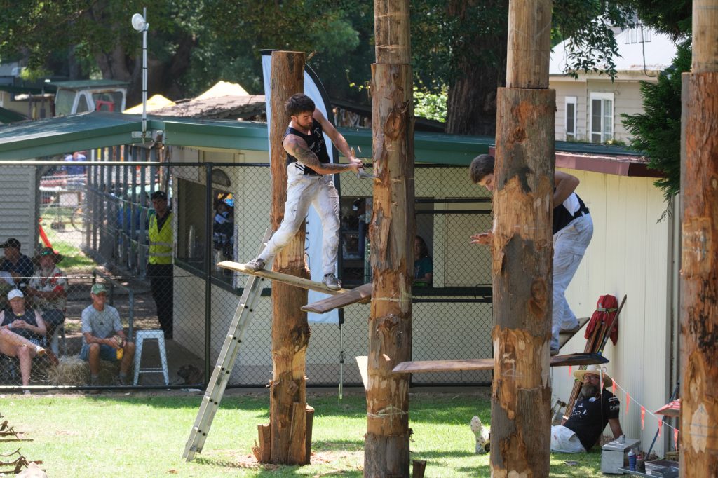 Axemen high on their boards in the tree felling event