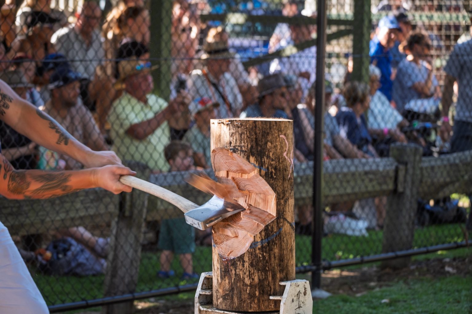 A woodchopper mid-swing in front of the crowd