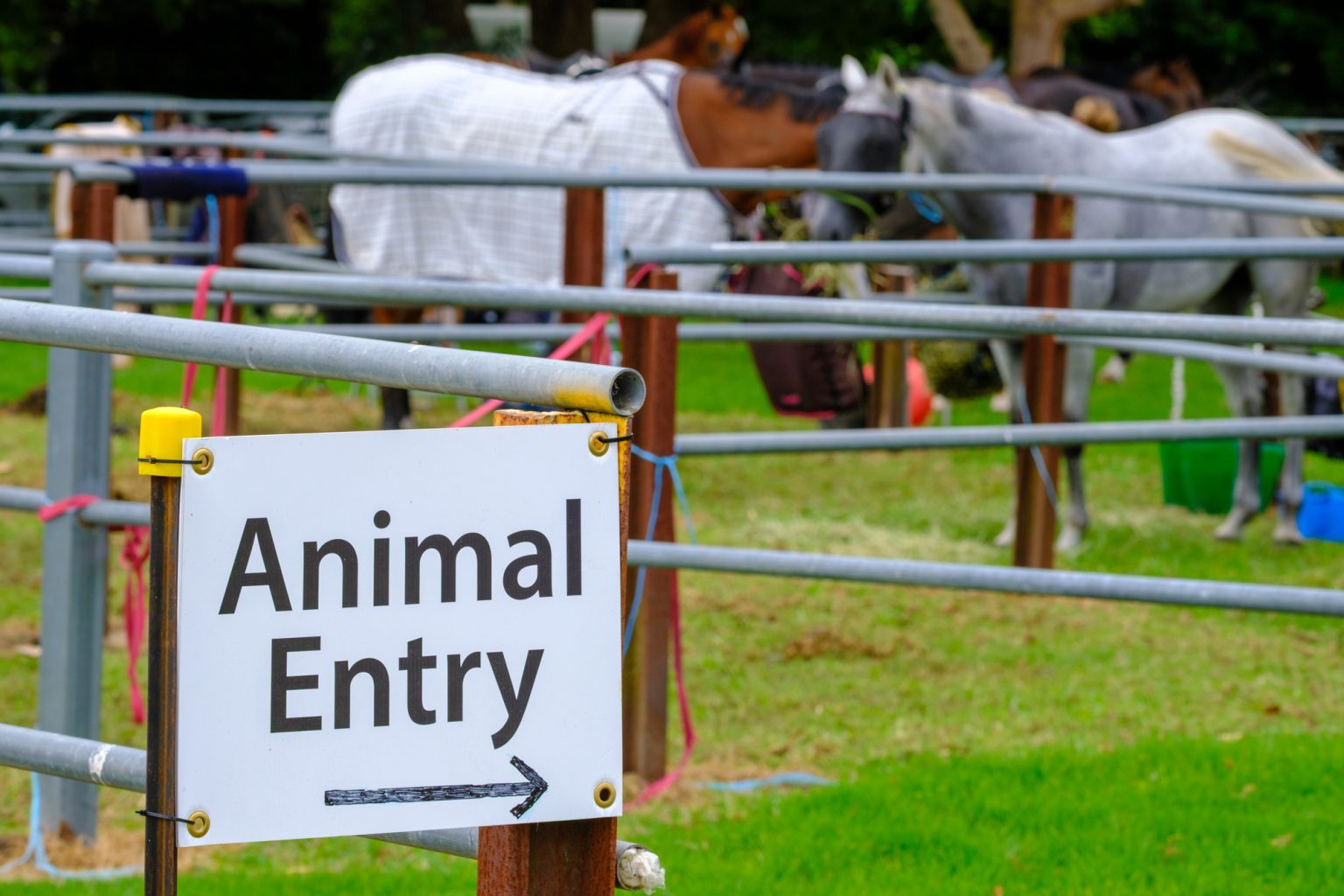 An Animal Entry sign pointing to the horse yards
