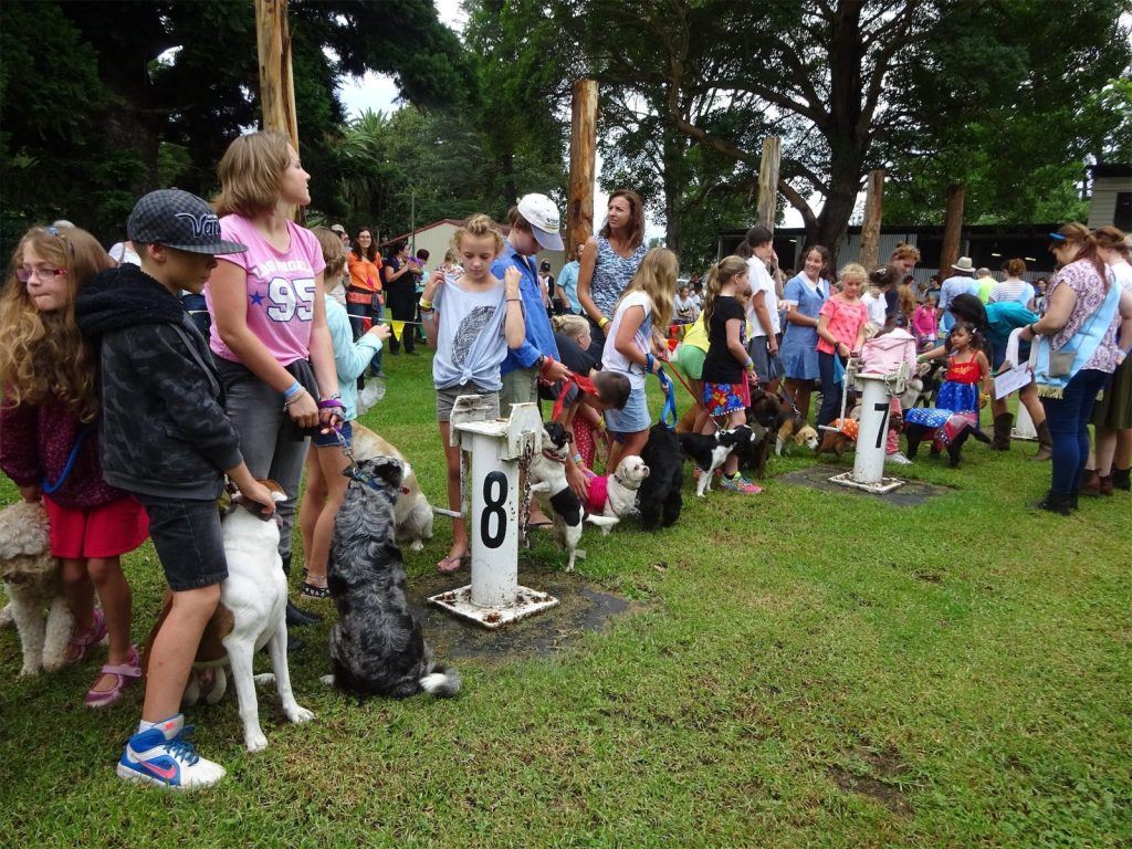 Children lining up with their dogs at the Pet Show