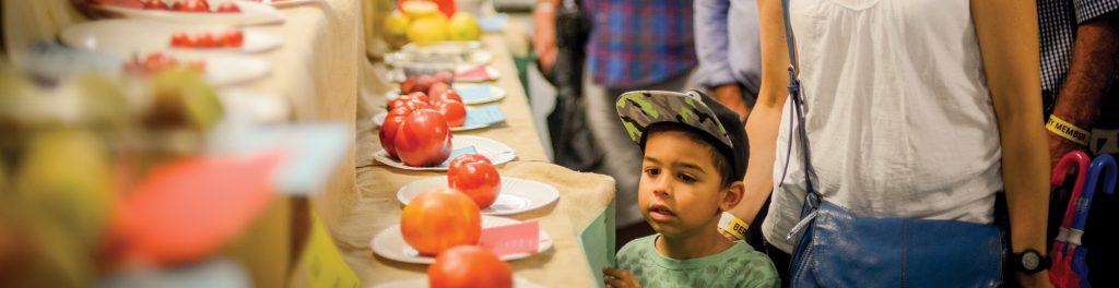 A boy studies prize tomatoes on the Pavilion tables