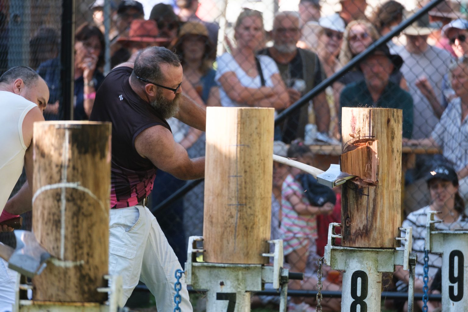 An axeman mid-swing in the woodchop, watched by a crowd behind the fence