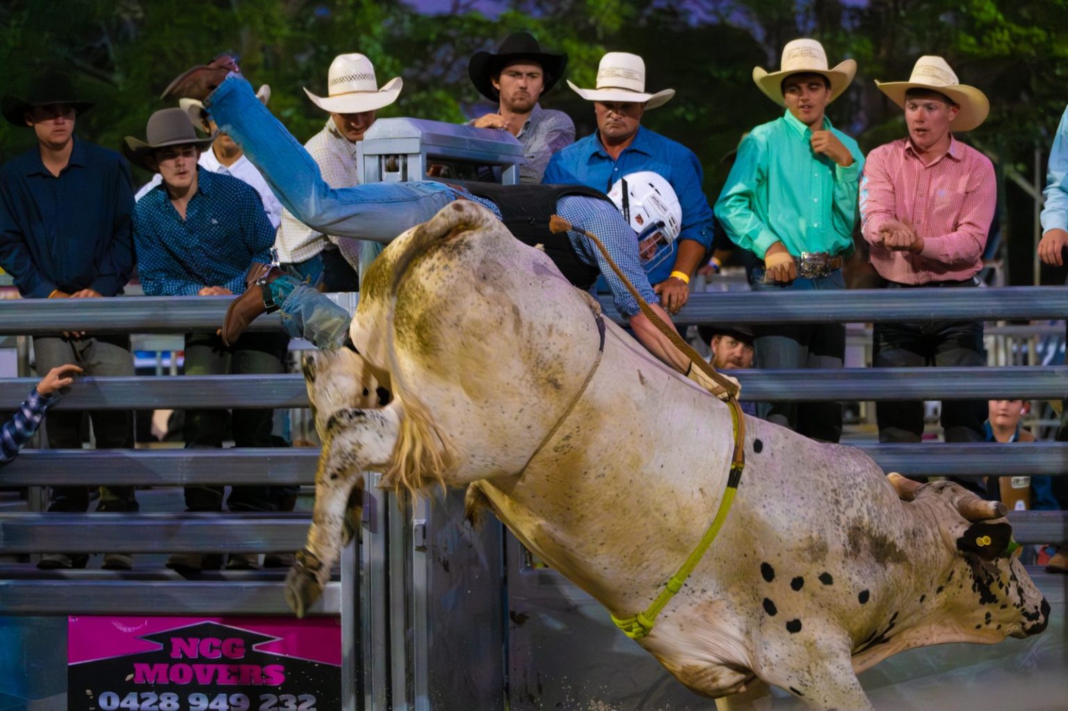 A bull rider holding on as the bull bucks