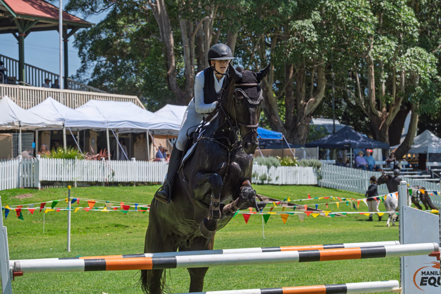 A rider on a black horse clearing a showjump in front of the grandstand