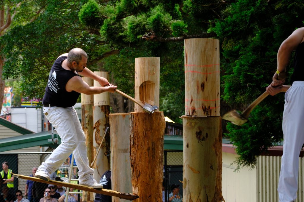 An axeman on a springboard chopping a standing block